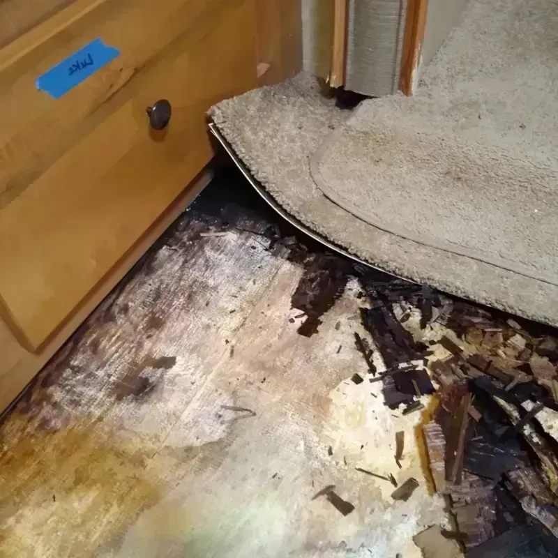 Wood Floor Water Damage in Walnut Park, CA